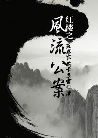 综红楼之风流公案