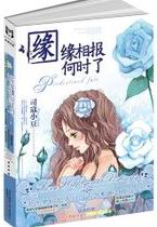 缘缘相报何时了
