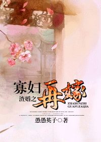 渣婚之寡妇再嫁