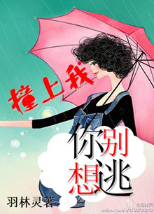 撞上我,你别想逃