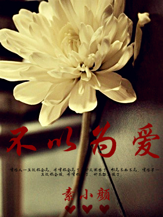 不以为爱(高干)