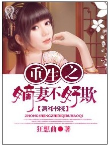 重生之嫡妻不好欺