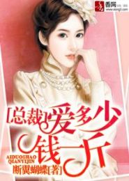 总裁,爱多少钱一斤