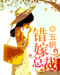 隐婚总裁