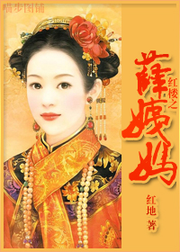 红楼之薛姨妈