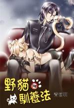 野猫驯养法